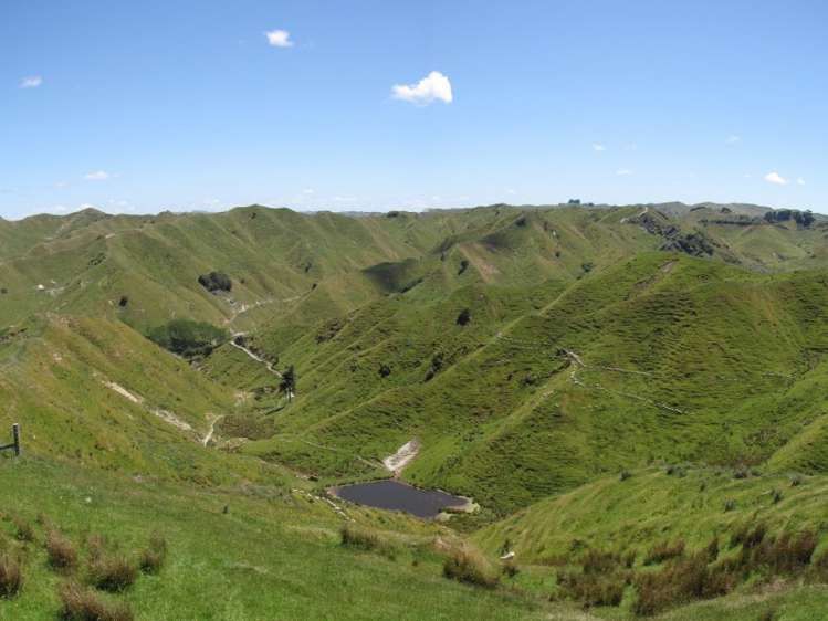 1168 Manui Road Mangaweka_9