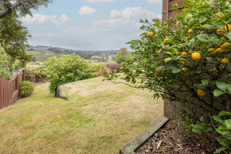 7 Montrose Grove Churton Park_34