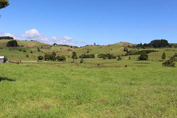 81 Ruapekapeka Road Towai_8