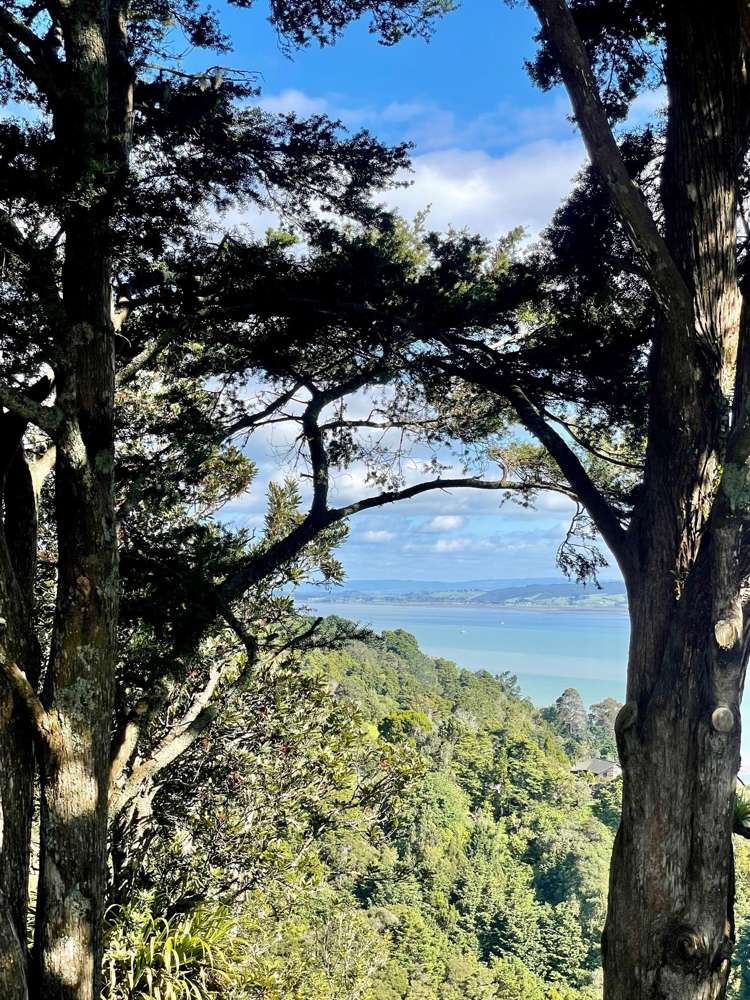 211 Whangarei Heads Road Tamaterau_17