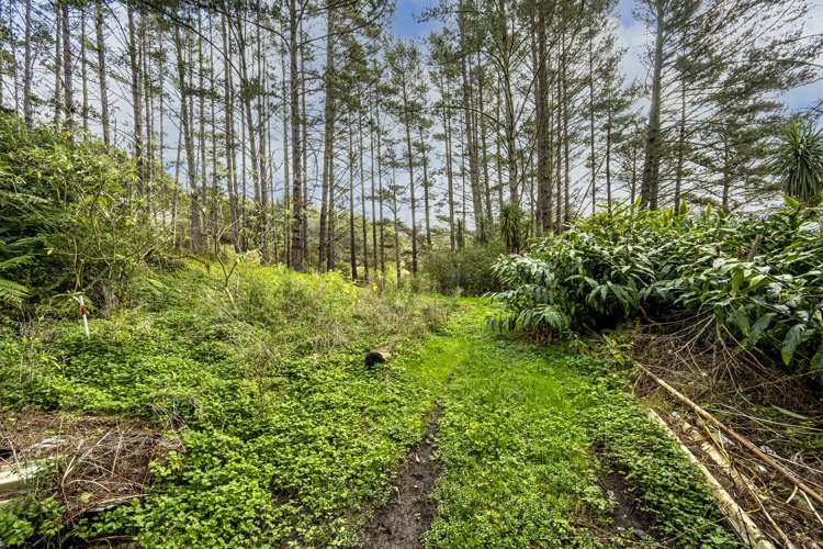 53 Red Hills Road Massey_7