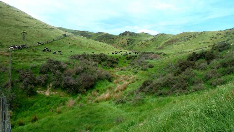 3/266 Patersons Road Motunau_0