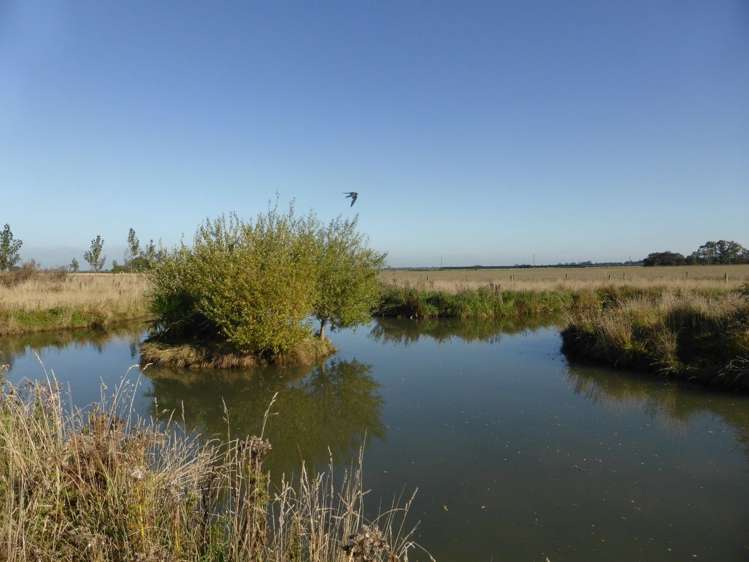 68 Pitts Road Darfield_16