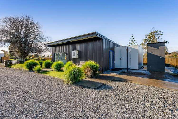 37 Warwick Road Stratford_5