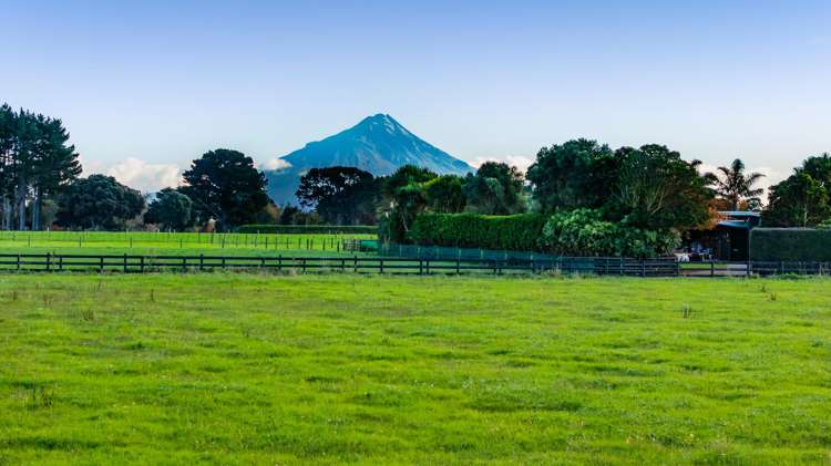 84 Mawhitiwhiti Road Normanby_14