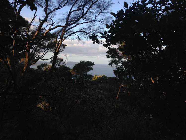Lot 73/NW71 S71 Aotea Parish Station Rock Road Great Barrier Island_9