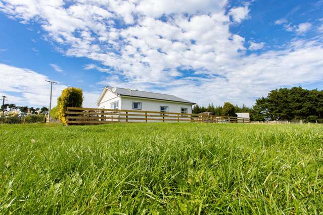 500 Rangikura Road Waverley_4