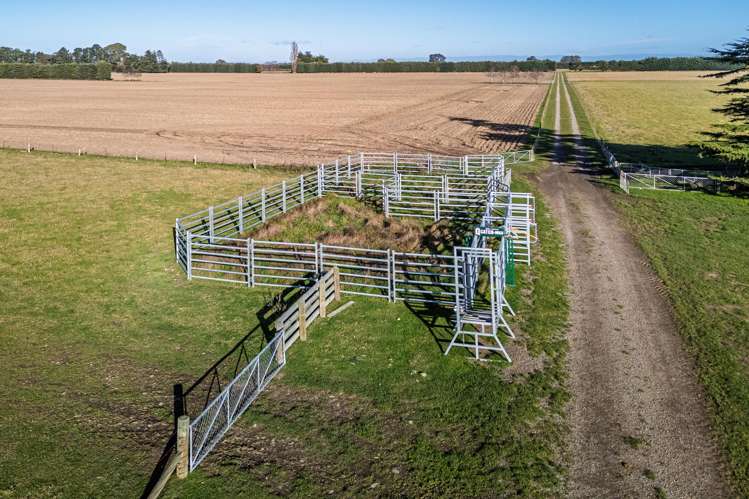 89 Chisnalls Road Hinds_23