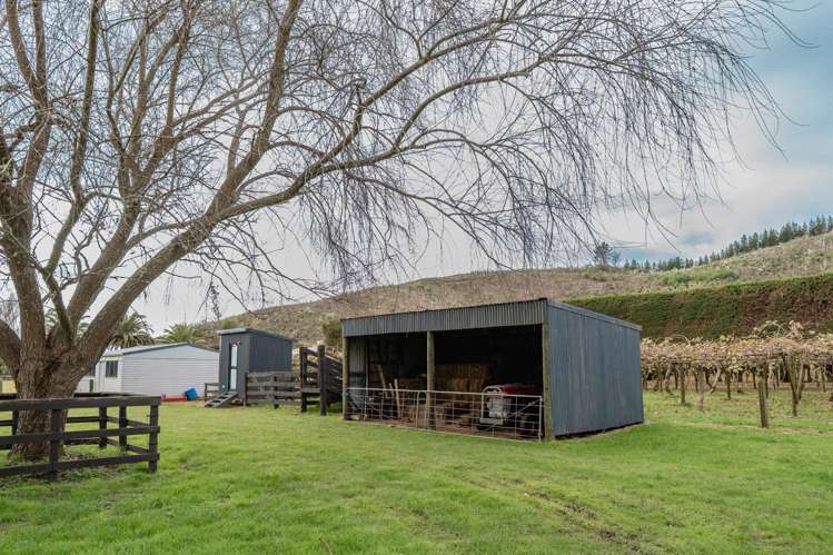 389A MacDonald Road Te Teko_13