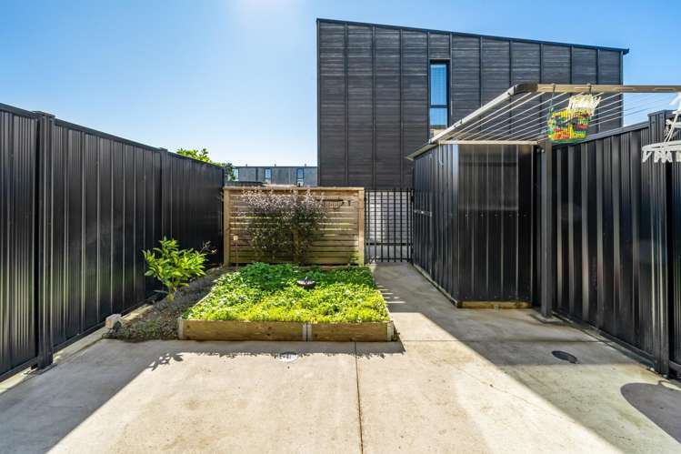 433b Jackson Street Petone_11