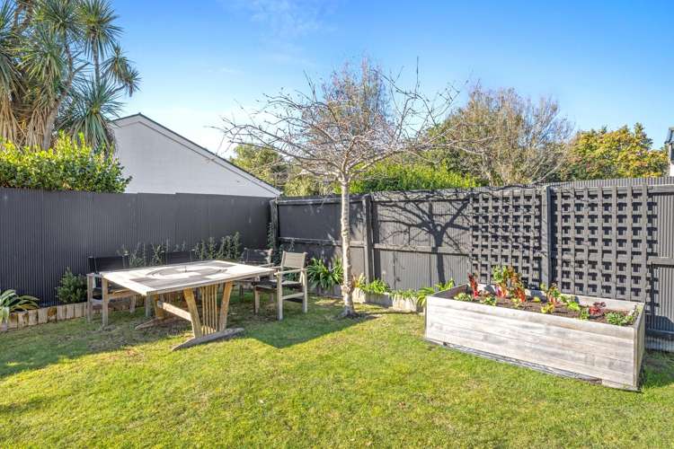 19 Landsdowne Terrace Cashmere_19