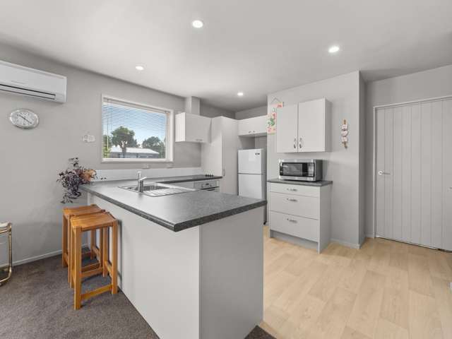 1B Kermode Street Ashburton_1