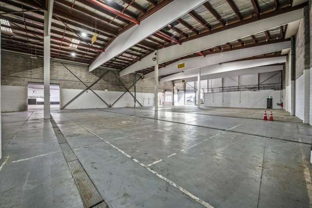 48 Wilkinson Road Ellerslie_3