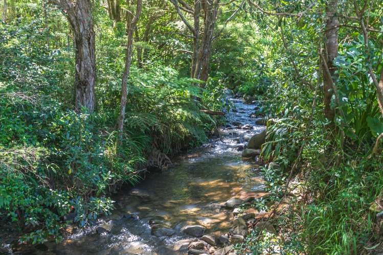 15 Pohue Creek Road Waiomu_29