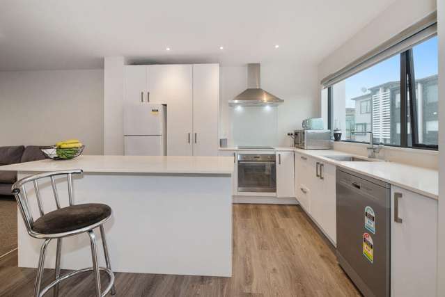 42 Memorial Park Lane Hobsonville_1