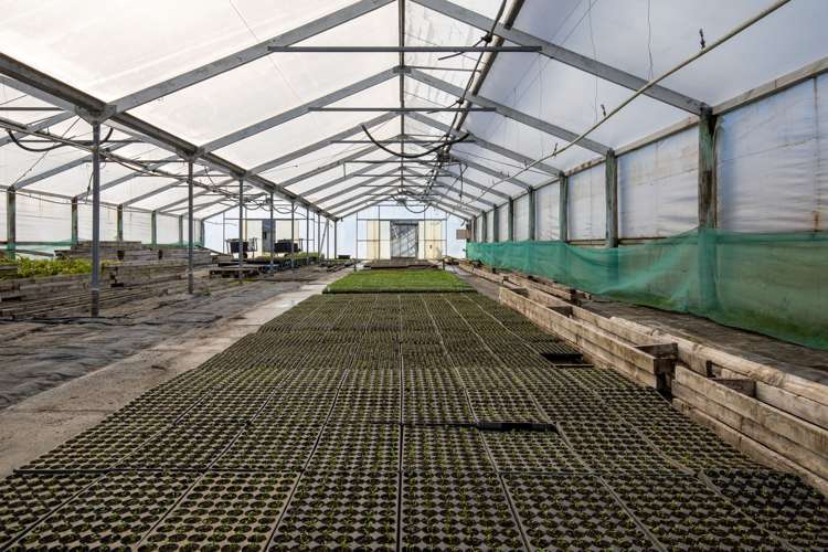 50 Barkers Road Kaiapoi_20