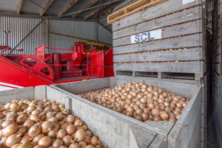 2915 West Coast Road Darfield_16