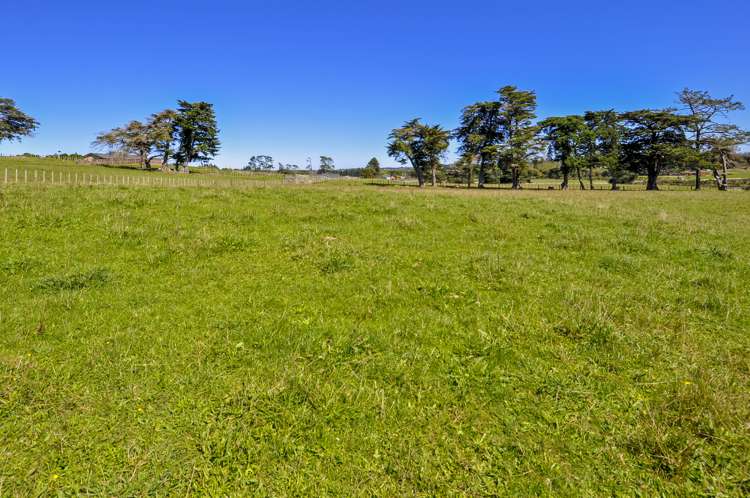 10 Bobs Way Dairy Flat_9