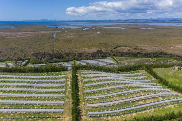 168 Heath Road Awanui_7