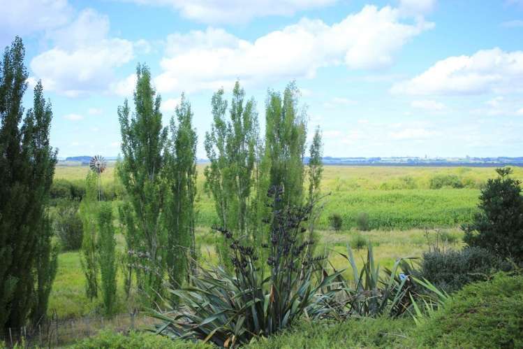 794 Island Block Road Te Kauwhata_16