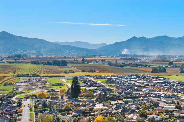 114 Oakley Avenue Springlands_3