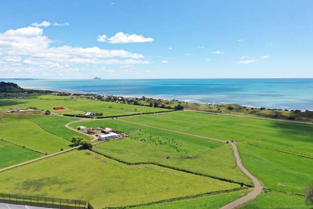 19 Te Wakanui Road Opotiki Surrounds_2