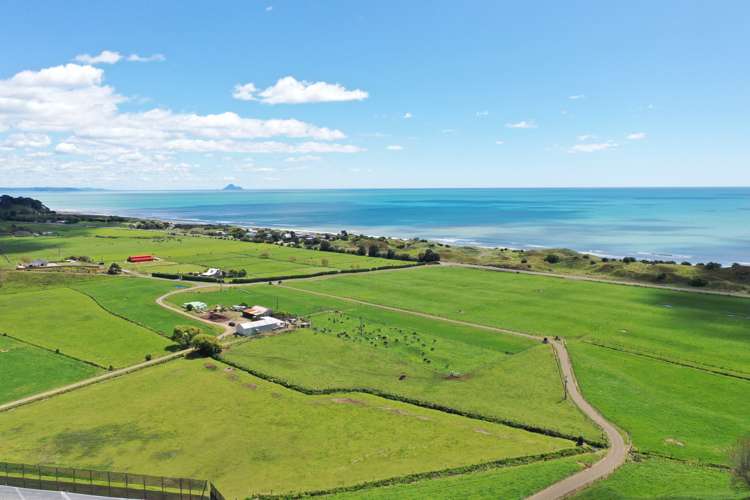 19 Te Wakanui Road Opotiki Surrounds_2