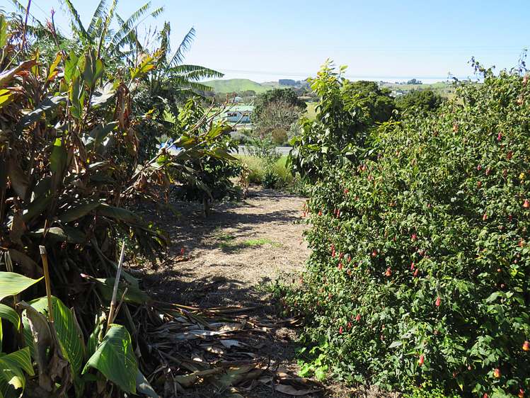 600 Pahi Road Paparoa_9