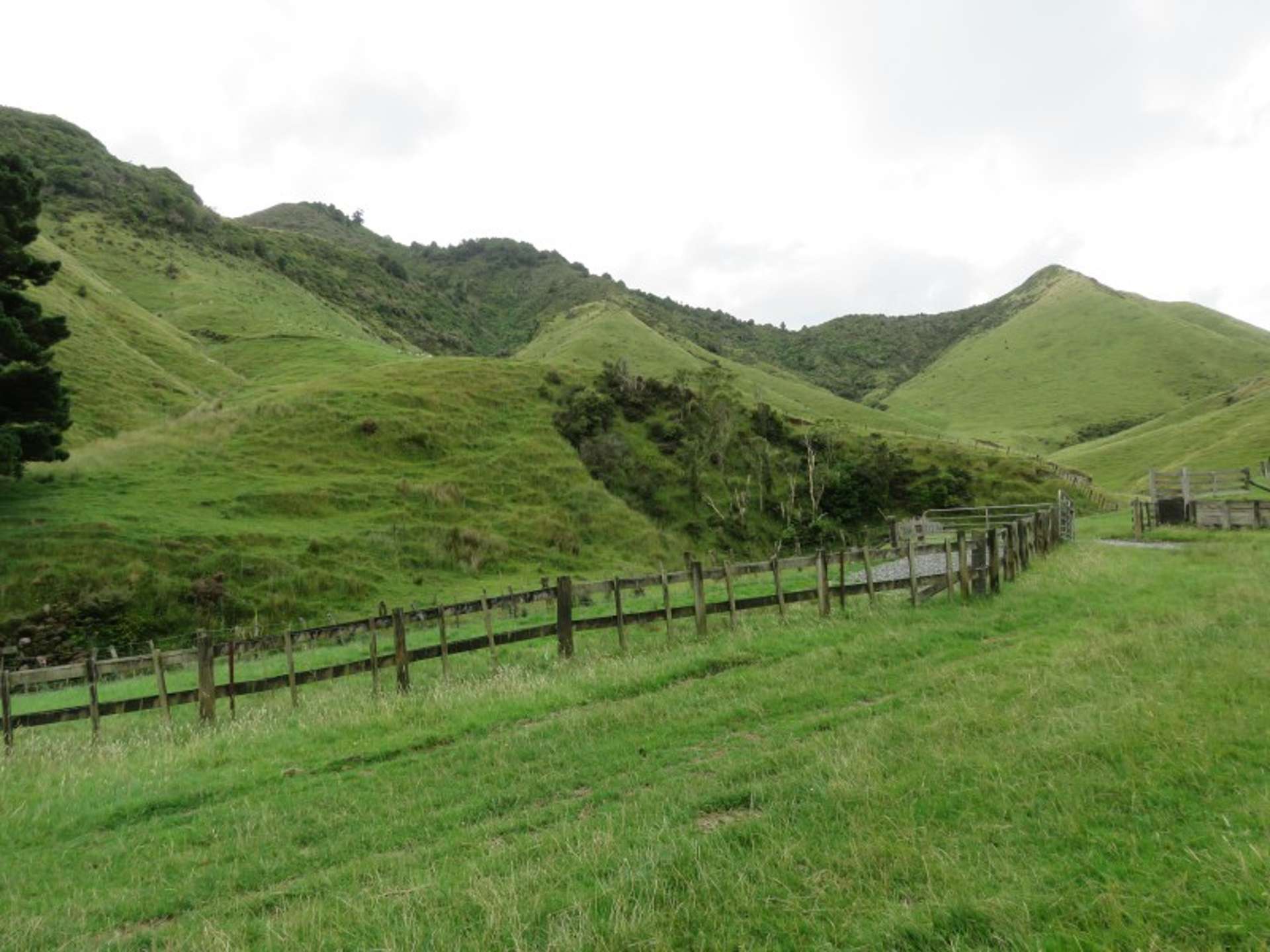 629 Tamaki East Road Rangitikei Surrounds_0