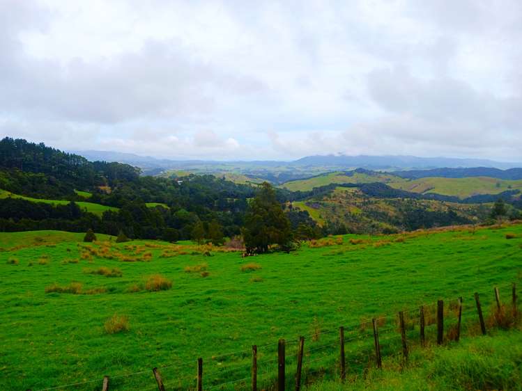 Lot 1 & 3 Fisher-Riley Road Kaitaia_10