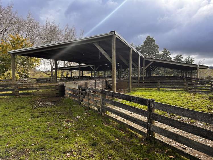 Lot Lot 1/2582 Okau Road Ahititi_8