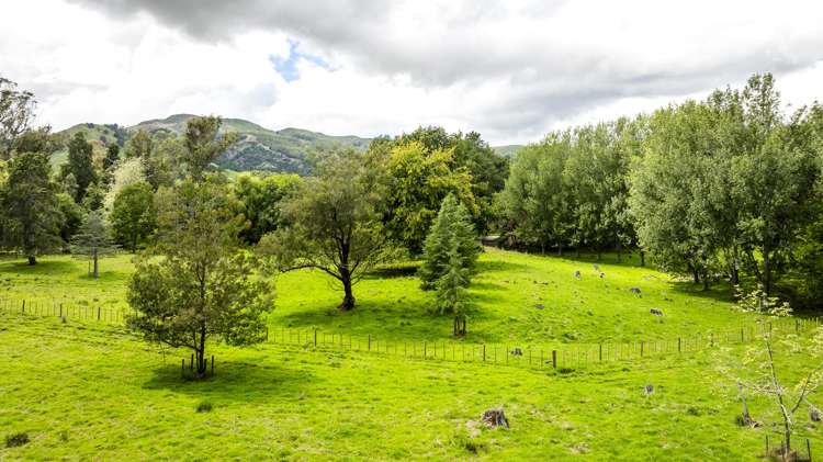 2420, 2430 and 2438 Kahuranaki Road Elsthorpe_11