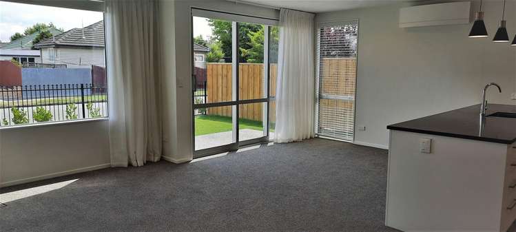 18b Fatima Street Redwood_4