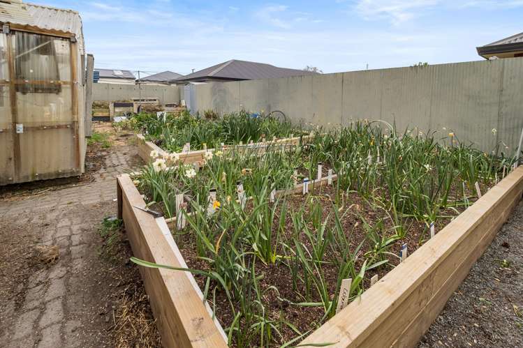 29 Agnes Street Tinwald_11