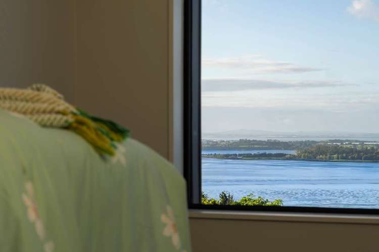 366A Hillsborough Road Hillsborough_14