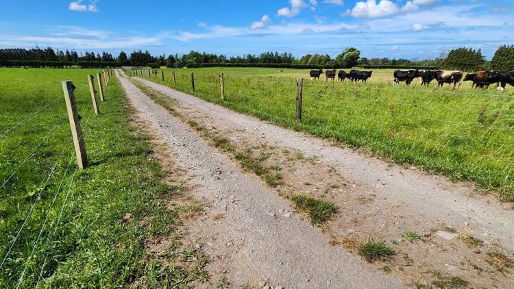 71 Lepper Road Inglewood_17