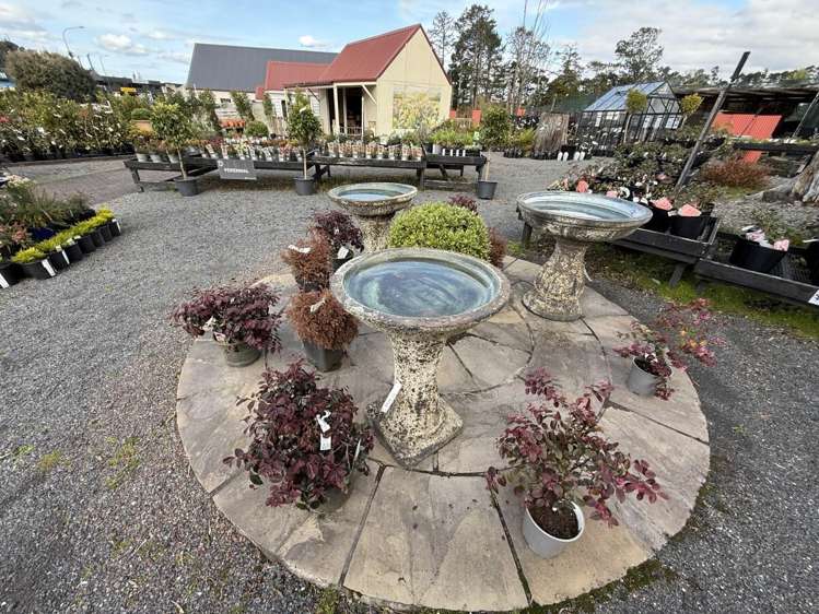 249-299 Main Road Kumeu_4