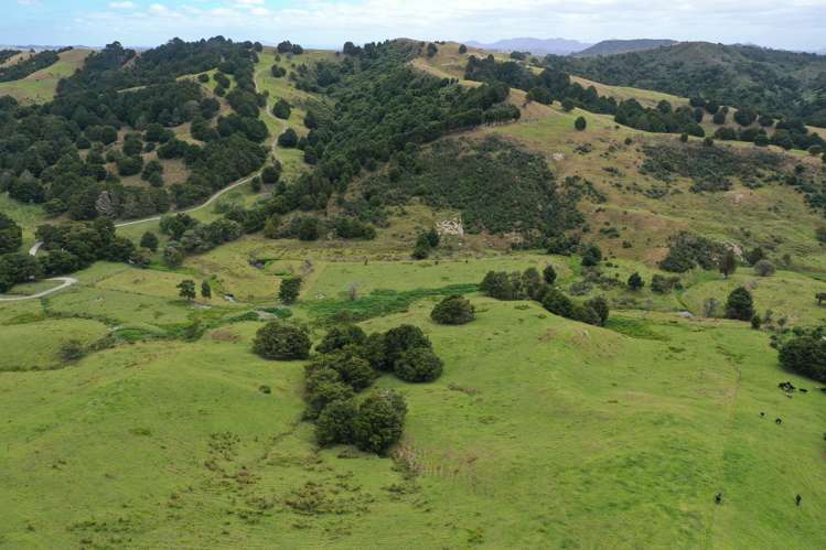 Lot 2/347 Porter Road Paparoa_21