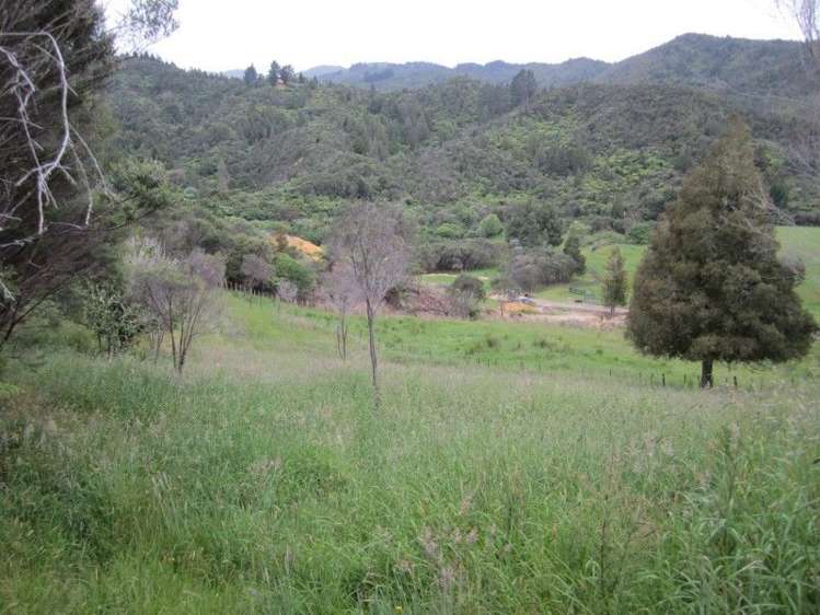 1661b The 309 Road Kaimarama_8