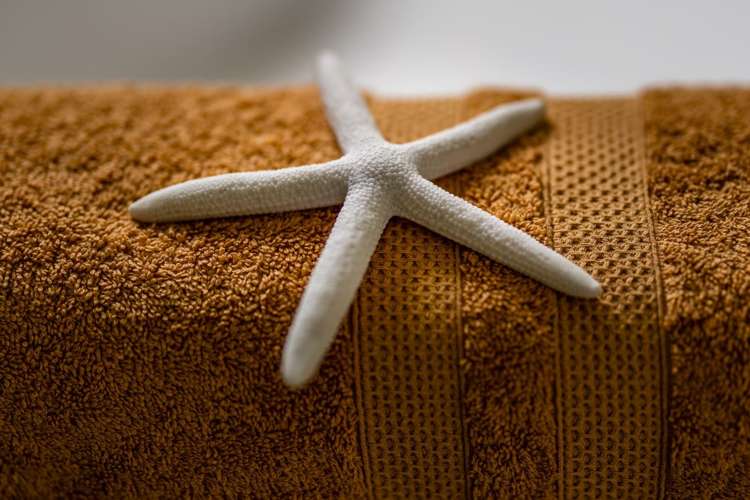 201 Hokianga Harbour Drive Omapere_33