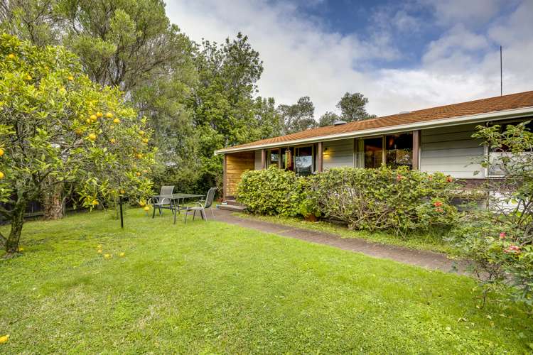 47 Plunket Street Tamatea_1