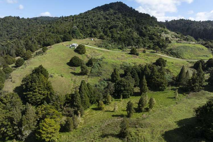 1238 Fern Flat Road Kaeo_22