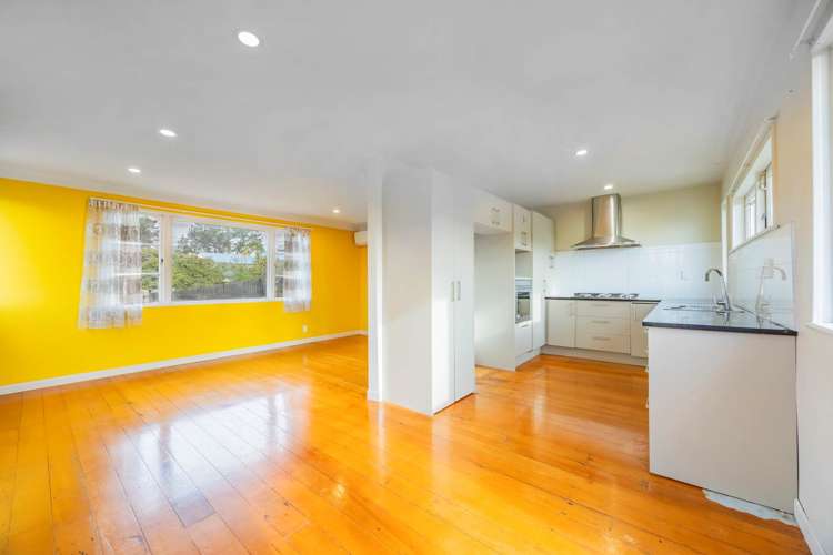 46 The Avenue Albany_9