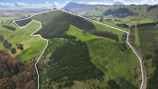 Lot 2 Te Kopia Road Waikite Valley_3