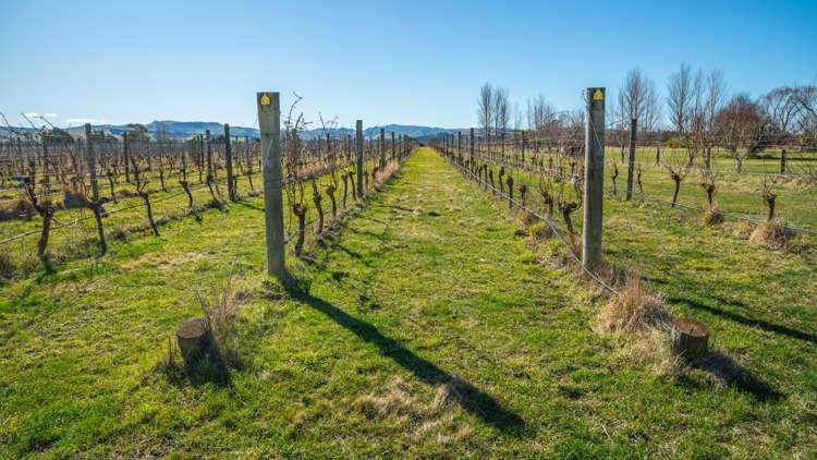 148 Omihi Road Waipara_22