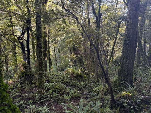 Fitzgerald Street Jackson Bay_3