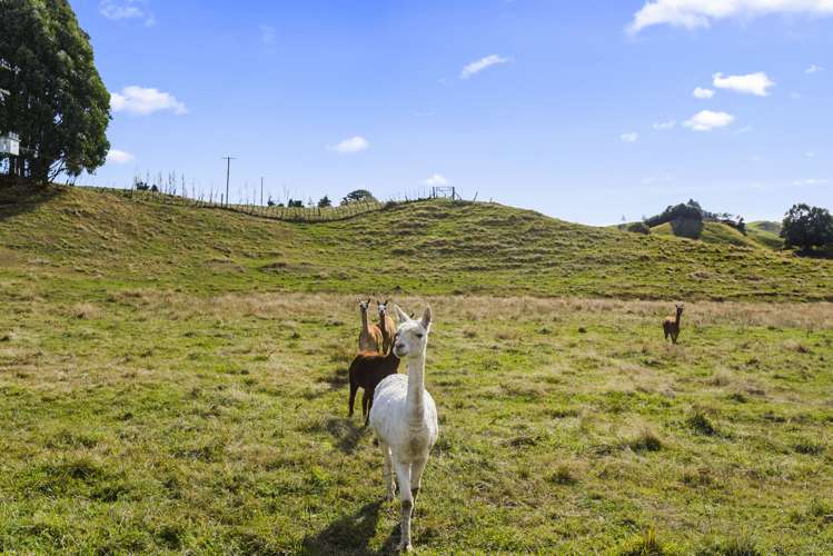 696b Poutakataka Road Atiamuri_32