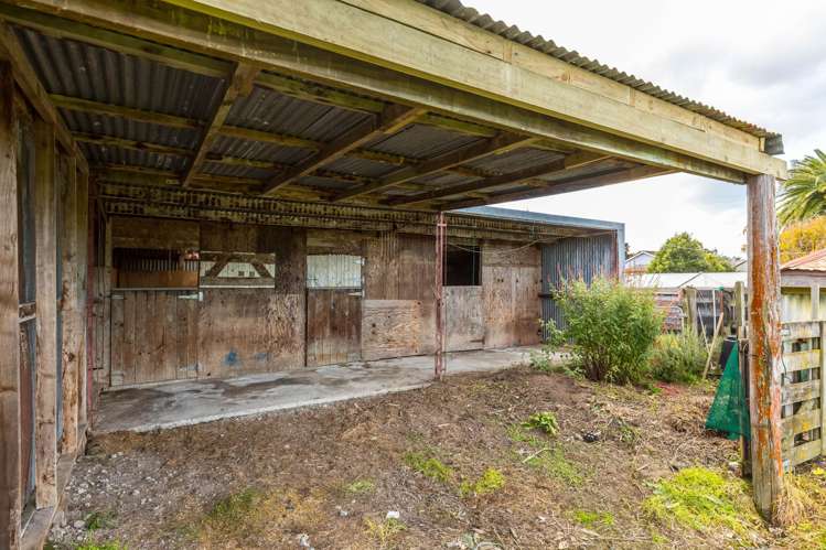 231B Belvedere Road Carterton_18
