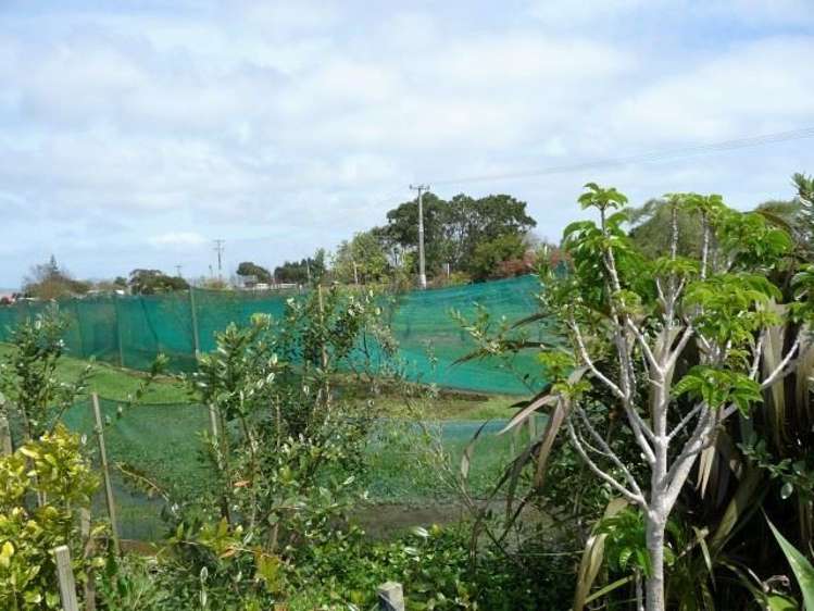 165a State Highway 1 Awanui_16