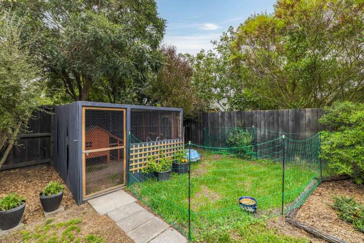 10 Cowper Place Avondale_21